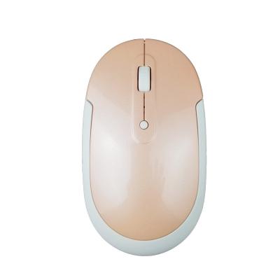 China 2021 Newest 3D Computer USB Optical Wireless Mouse For Laptops 2.4GHz Optical Wireless Mouse for sale