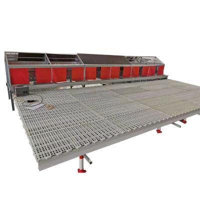 China Save Labor Automatic Chicken Laying Egg Laying Box for sale