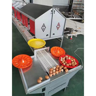 China Save the used working chicken house by extending the magot trunk for sale