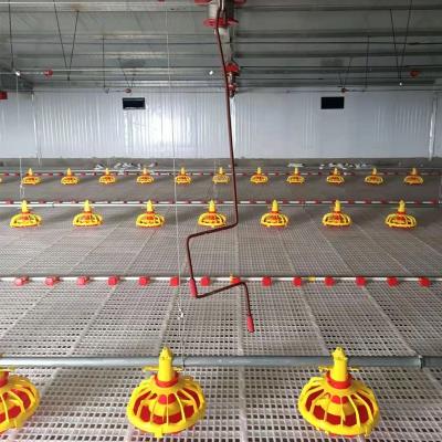 China Farms Broiler Chicken Farm Equipment Automatic Pan Feeding System For Sale for sale