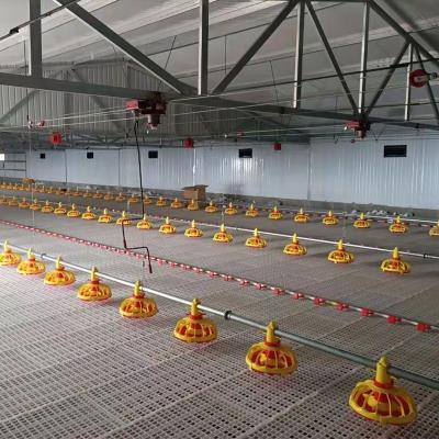 China Farms Poultry Farm Automatic Pan Feeding System For Chicken Broilers for sale