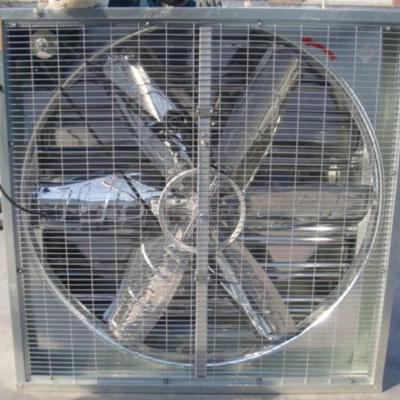 China Garment Shops Factory Green Industrial Home Ventilation Exhaust Fan China 2020 Quality Products for sale