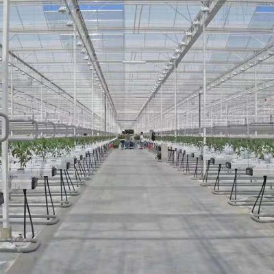 China High Strength Cheap Indoor Farms System Hydroponic Greenhouse Price Easy Installation for sale