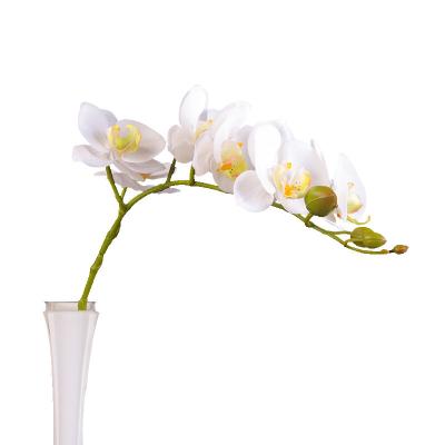 China Orchid Home Single Stem Phalaenopsis Simulation Decotation Real Touch Latex Moisturizing Artificial Butterfly Orchid Home Decorative Flowers for sale