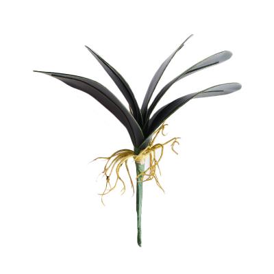 China Southwestern Real Touch 5 Leaves Cymbidium Orca Cymbidium Orchid Leaves With Roots For Sale Decorative Artificial Orchid Bonsai Trees for sale