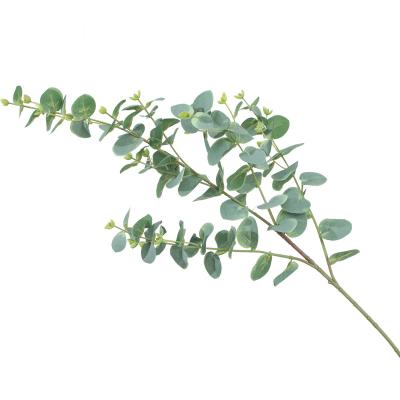 China Silk+Plastic Plant Artificial Eucalyptus Silver Leaves Flower Arrangement Decoration Green Plant Landscape Decoration for sale