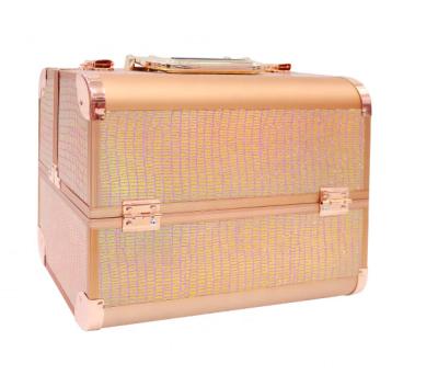 China Machine Packing Hot Sale Make Up Cosmetiquera Ready Current Bestseller Aluminum Multifunction Makeup Organizer Bags Cosmetic Case for sale