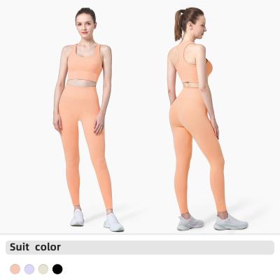 China Breathable Good Quality Workout Yoga Set Seamless Gym Slim Fit Two Piece Yoga Suit for sale