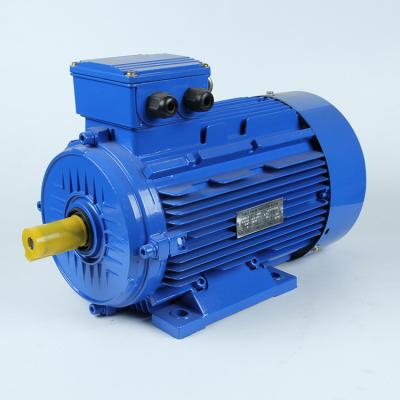 China Y2-180M-2 Series 22KW 30HP 2P 2800RPM Three Phase Electric Motor Totally Enclosed AC Motor for sale