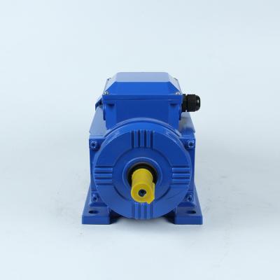 China Y2-160L-2 Series 18.5KW 25HP 2P 2800RPM Three Phase Electric Motor Totally Enclosed AC Motor for sale