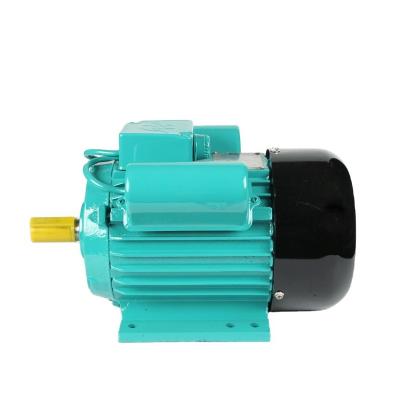 China Totally Enclosed Series YL-100L1-4 Single Phase Motor 2.2KW 3HP 4P 1440RPM Asynchronous Motor Fans Machinery Motors for sale