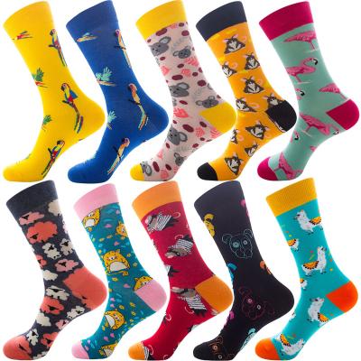 China Mixed Wholesale RTS Combination Socks Cotton Top Quality Designs Sporty 10 Pairs Package From China Socks Fast Shipping for sale