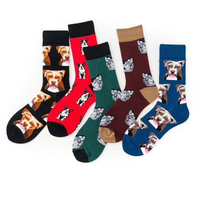 China Korean Custom Wholesale Sporty Funny Dog Socks Free Shipping To USA for sale