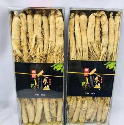 China Improve Immunity 10 Year Grade Whole Root Panax Top Ginseng Root for sale