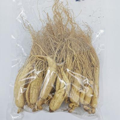 China Improve Immunity Top Grade Panax Ginseng Root Whole Root for sale