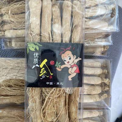 China Improve Immunity High Quality Panax Ginseng Ginseng Root 10year for sale