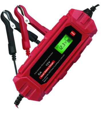 China BT02-Z6.0A-P1 100W 12V 6A 3-150Ah Automatic Lead Acid Built-in Battery Charger for sale