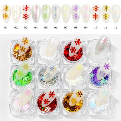 China Wholesale Winter Various Colors Snowflake Glitter Glitter Nail Art Shiny Glitter Nail Art Decoration For Nail Art Decoration 12 Colors Set Packing for sale