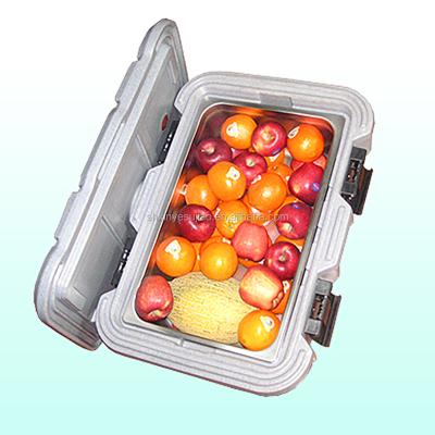 China Insulated Container To Keep Hot Insulated Food Carrier Food Pan Carrier To Keep Cooler Hot Box Carrier for sale