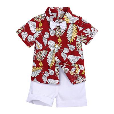 China Anti-wrinkle Boys Clothing Set Boys T-Shirt+Shorts Comfortable Pants Baby Boy Cotton Kids Clothing Sets for sale