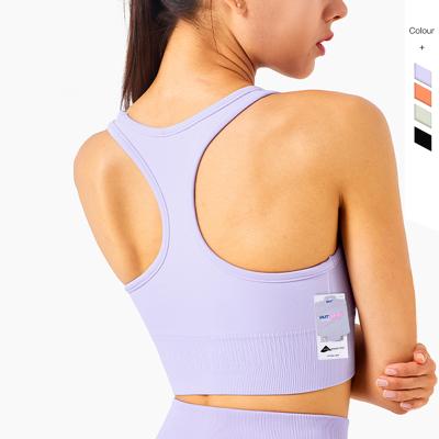 China Antibacterial Women's Support Spandex Fabric Tank Top Aplet Workout Yoga Sports Padded Bra Top for sale