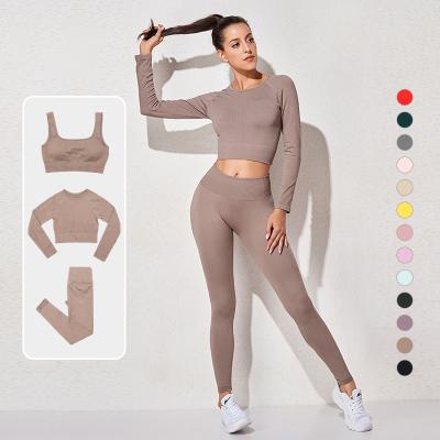 China ACTIVE STRETCH Women Fitness Equipment Seamless Clothing Custom Logo Set of 3 Piece Gym Leggings for sale