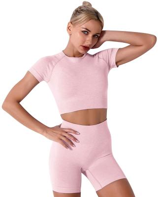 China Breathable 2 Pcs Wholesale Free Sample No Logo Exercise Gym Clothes Seamless Shorts Sleeved Shorts Women's Yoga Set for sale