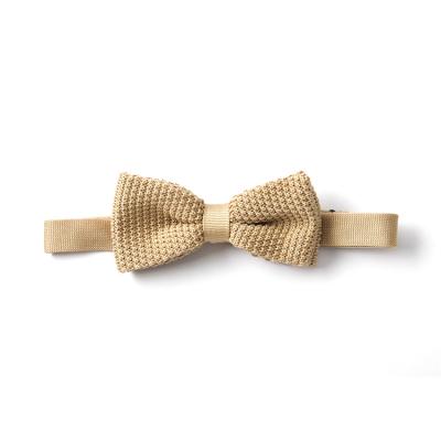 China New Design Sustainable Organic Accept Customized Logo Luxury 100% Silk Bow Tie for sale