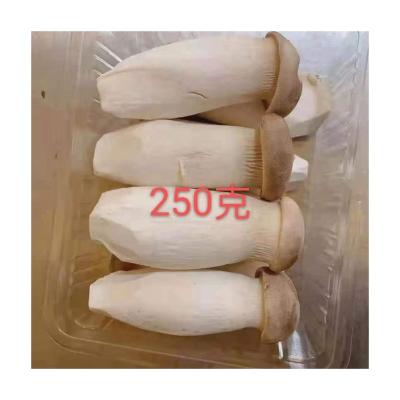 China Cool King Oyster Mushrooms For Sale Of Fresh High Quality Material Edible Mushrooms for sale