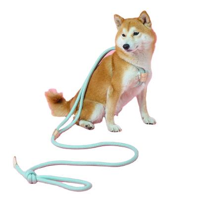 China Lights Factory Wholesale High Quality Round Rope Dog Leash Dog Vest Dual Use Leash for sale