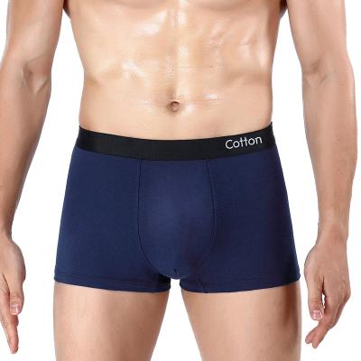 China Antibacterial Men's Stretch Boxer Briefs Plus Size Underwear With Comfort Flex Waistband Breathable Stretch Underwear for sale