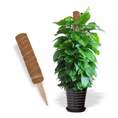 China 4 Year 24 Inches Bendable Moss Pole Totem For Plant Support Extension, Climbing Indoor Plants, Filler Coir Climbers for sale