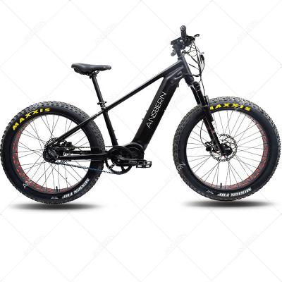 China 2021 Aluminum Alloy Ansbern OEM Fat Mid Tire 48V Bafang Motor 1000w Electric Mountain Bike for sale