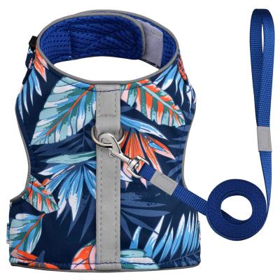 China Thoughtful Custom Style Small Dog Harness and Leash Set Printed Comfortable Padded Mesh Dog Leash and Harness Set for sale