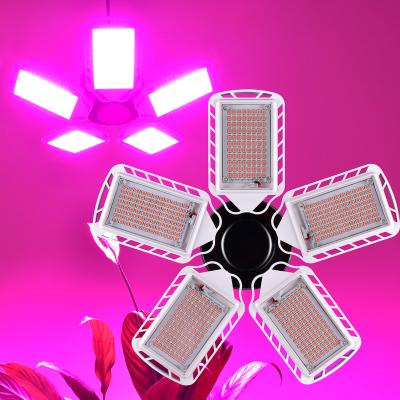 China Seed Starting Bearing Customized Greenhouse 300-730nm Hydroponic 5 Fan Blade Red Blue Foldable Full Spectrum Led Grow Light Sulight Bulb for sale