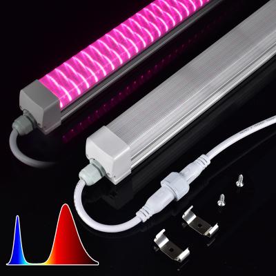 China Seed Starting Greenhouse Planting Vertical Agricultural Horticulture Bearing Customized Full Spectrum 300-730nm Red Blue Led Grow Light for sale