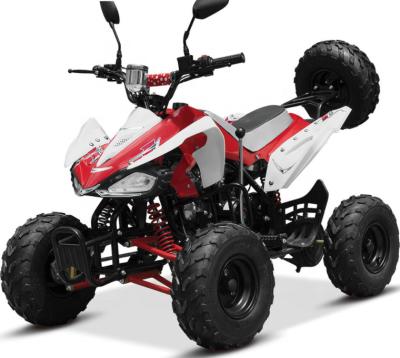 China ATV110 4 RACE STEEL OFF ROAD 4 WHEEL QUAD BIKE for sale