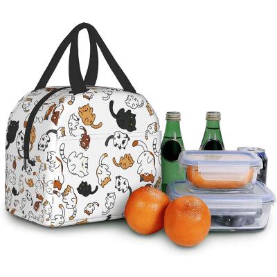 China New Products Waterproof Polyester Cooler Bags Large Insulated Waterproof Thermal Bags Exquisite Printing Kids Lunch Bags With Handle for sale