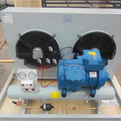 China Cold Storage Room Freezer Room Frascold Condensing Units For Freezer And Refrigerator for sale