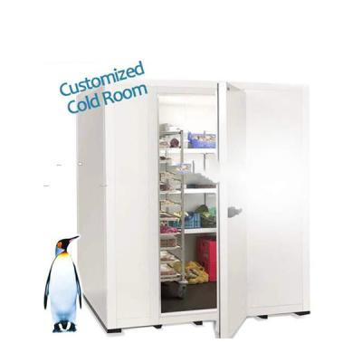 China Seafood blast freezer cold room for meat, cooler room for ice cream for sale