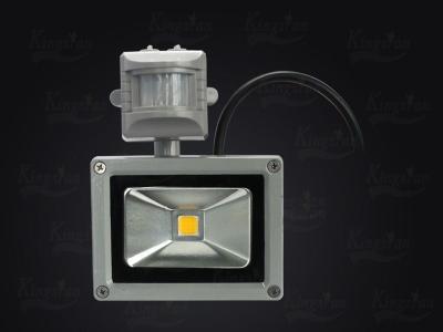 China 10W Induction LED Floodlight Waterproof LED Flood Lights for Billboard , Tunnel , Subway for sale