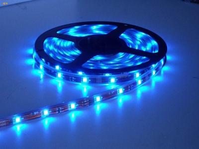 China RGB Lage het Voltage LEIDENE van 60Leds Strooklichten maken DC24V SMD5050 met Adapter waterdicht Te koop