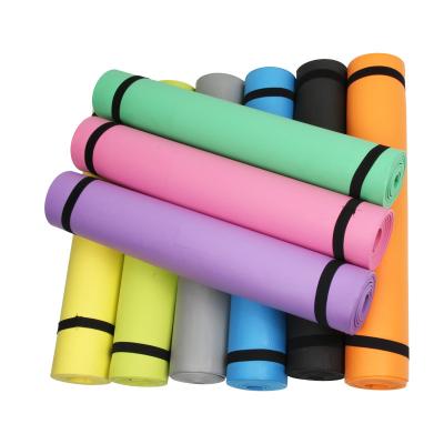 China TPE best yoga mat 2022 cheap Thickened portable pet  thick exercise mats yoga mat for sale