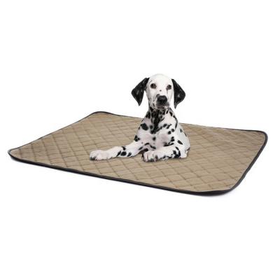 China CLASSICS Waterproof Pet Urine Absorbent Protect Diaper Mat Reusable Training Pee Pad for sale