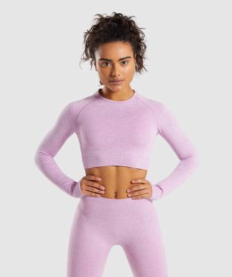 China Breathable New Style Customized Women Fitness Sport Wear Yoga Gym Suits Jogging Sportswear Women Running Leggings Tops for sale