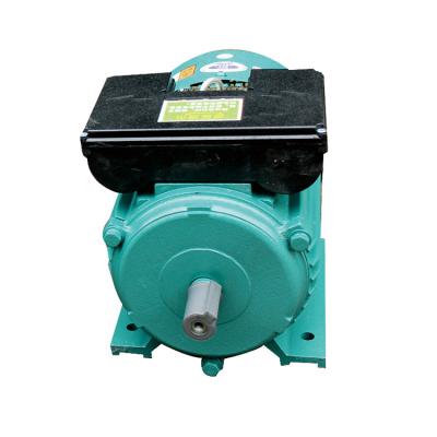 China Factory Price IP44 Amazon Success AC 220v Electric Motor 3kw For Compressor Corn Sheller Rice Huller for sale