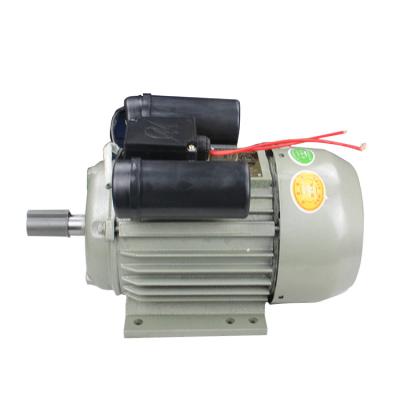 China IP44 3hp 2.2kW 220 volt AC electric motor for sale