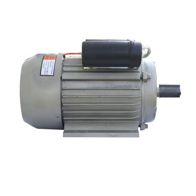 China Hot Sale IP44 Good Quality 2.2 Kw 3 Hp 2800 Rpm Single Phase AC Induction Motor With Cast Iron Housing for sale