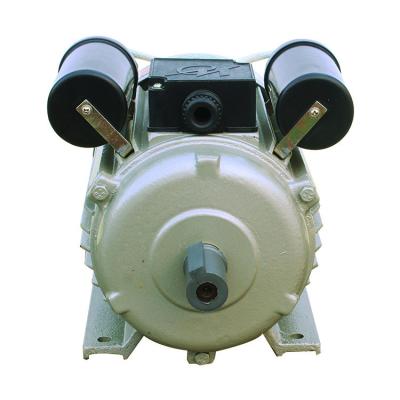 China IP44 High Quality Waterproof 2.3 kW~7.5 Kw YLSeries Electric Brake Motor for sale