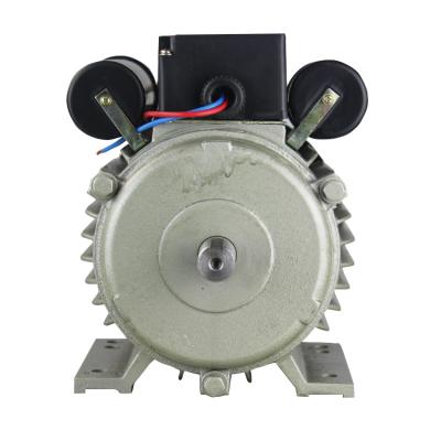 China IP44 2800r/min 220vlot AC Motor Low Speed ​​High Torque Motor for sale